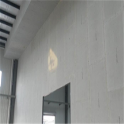 甘南宁波ALC板|EPS加气板隔墙与混凝土整浇联接的实验研讨